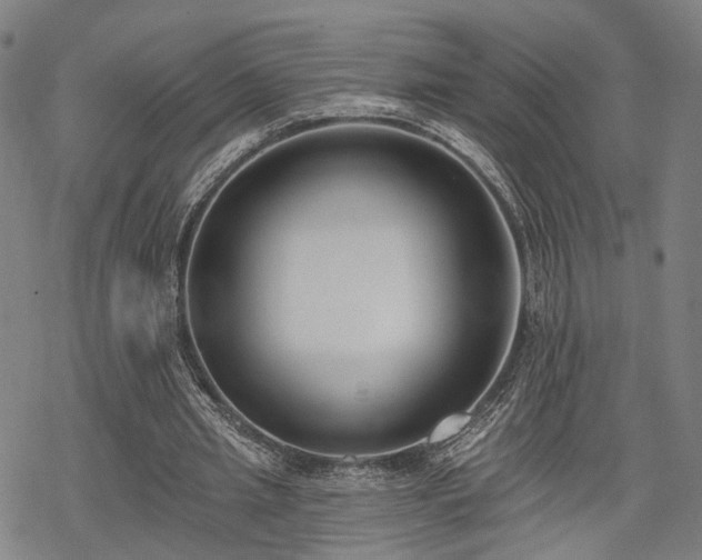 X0000069380437200605121150