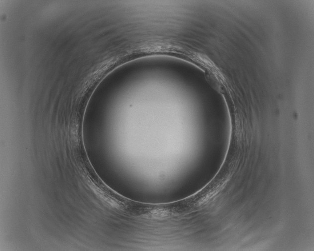 X0000069380441200605121150