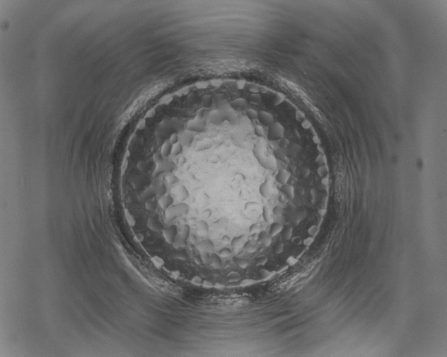 X0000069380443200605121150