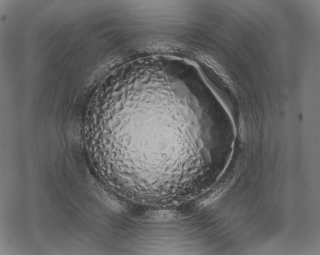 X0000069380449200605121150