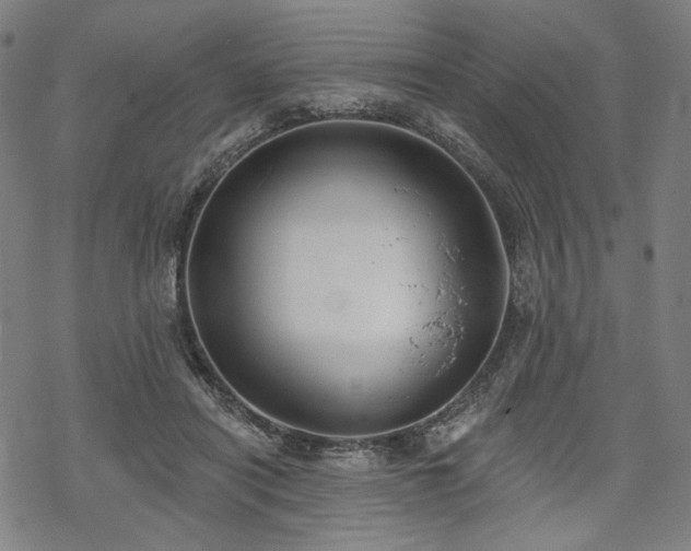 X0000069380454200605121150