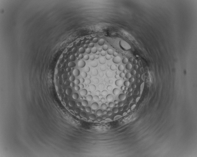 X0000069380466200605121150