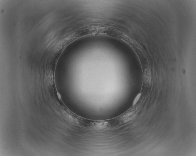 X0000069380474200605121150
