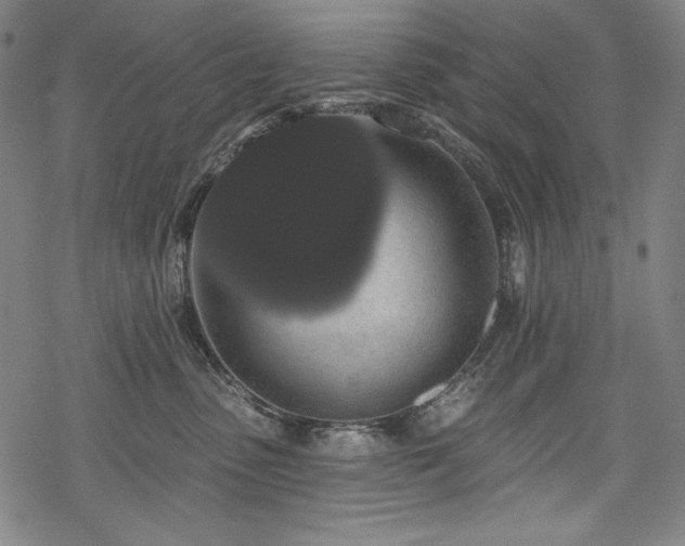 X0000069380475200605121150