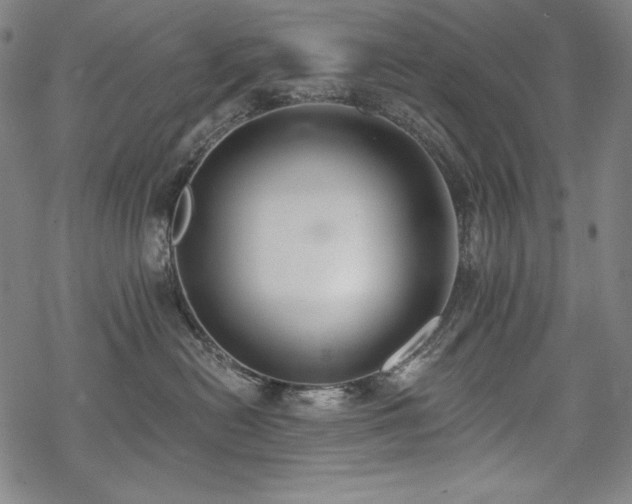 X0000069380478200605121150