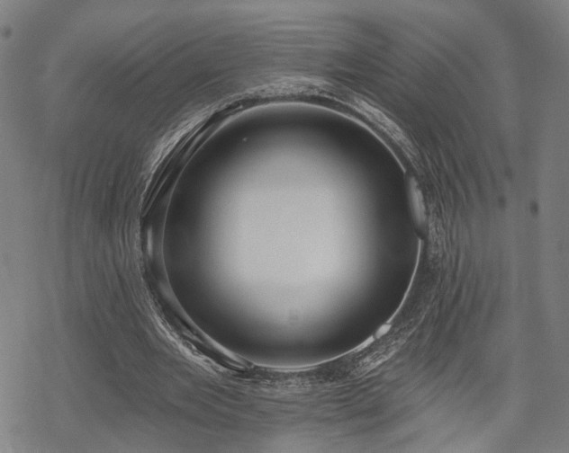 X0000069380485200605121149