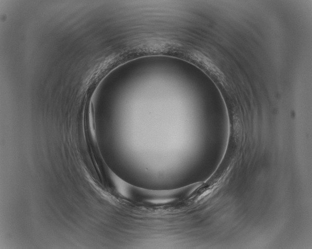 X0000069380493200605121149