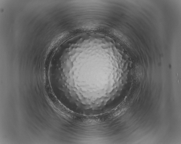 X0000069380494200605121149
