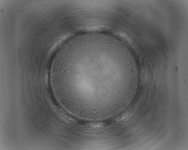 X0000069380495200605121149