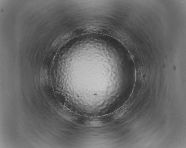 X0000069380506200605121149