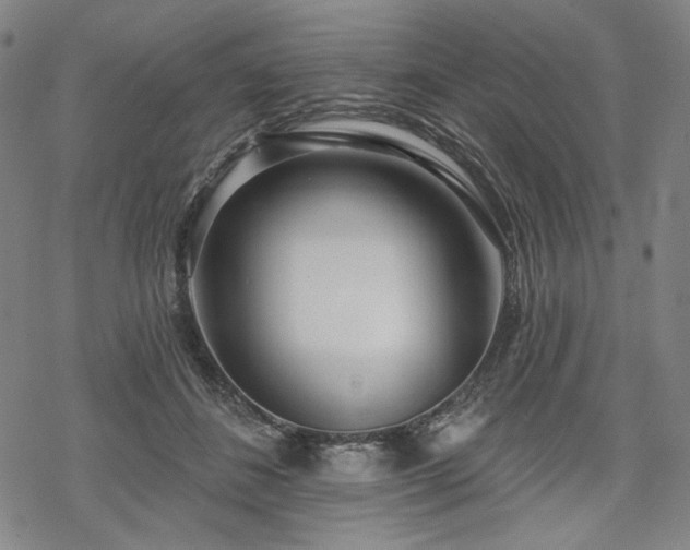 X0000069380508200605121149