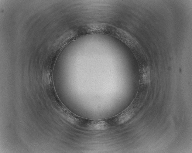 X0000069380514200605121149