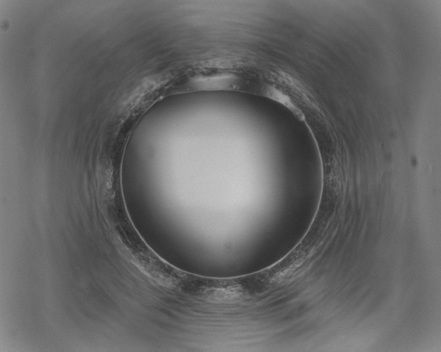 X0000069380548200605121148
