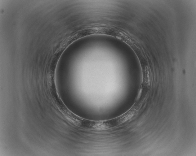 X0000069380562200605121149