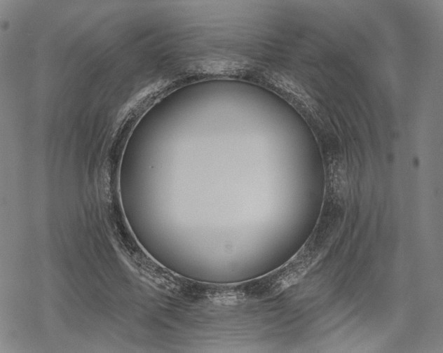 X0000069380587200605121148