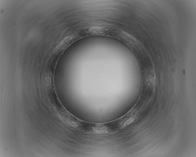 X0000069380603200605121148