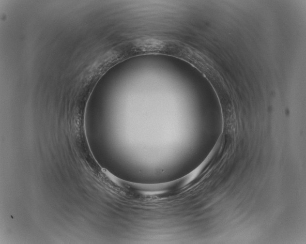 X0000069380604200605121148