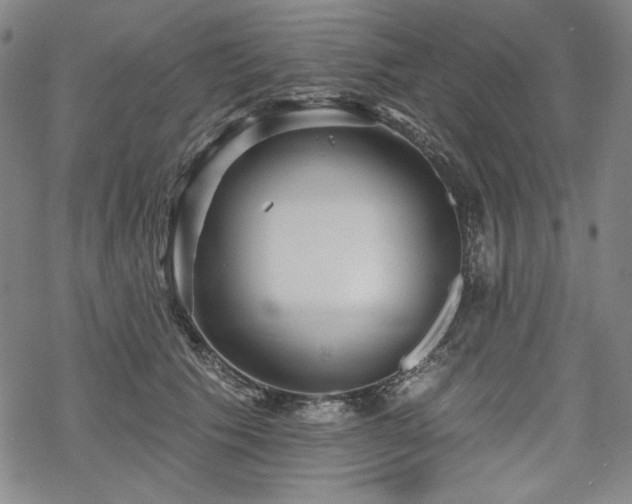 X0000069380609200605121147