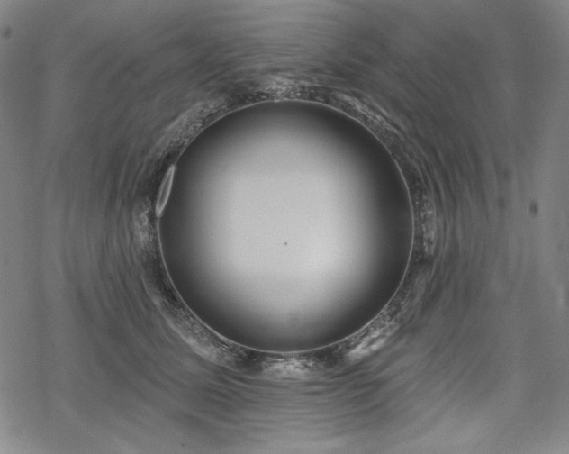 X0000069380611200605121147