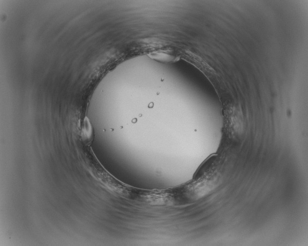 X0000069380615200605121147