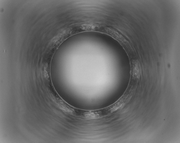 X0000069380616200605121147