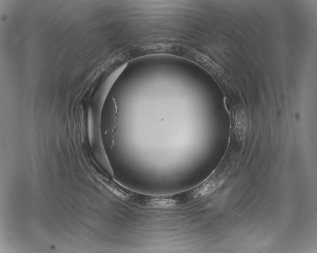 X0000069380617200605121147