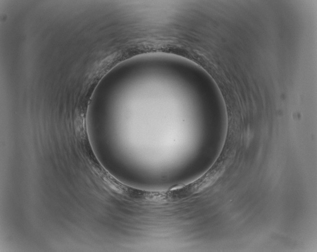 X0000069380624200605121147
