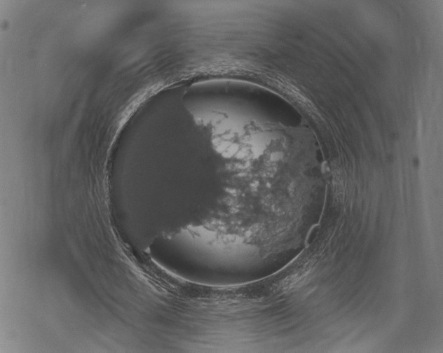 X0000069380626200605121146