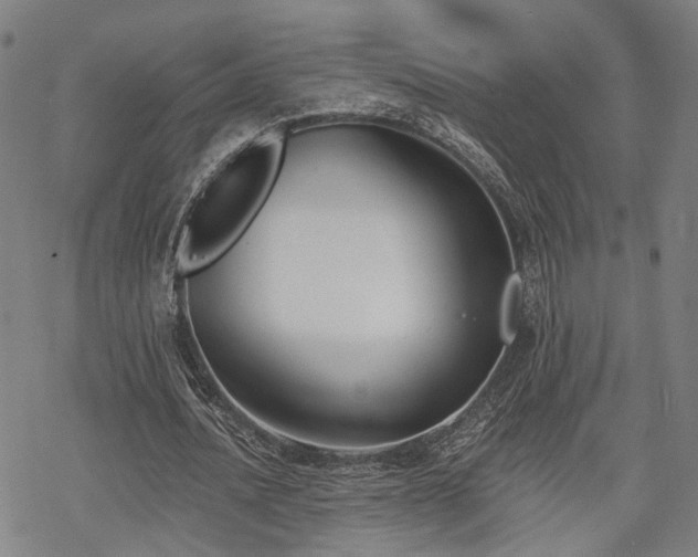 X0000069380628200605121146