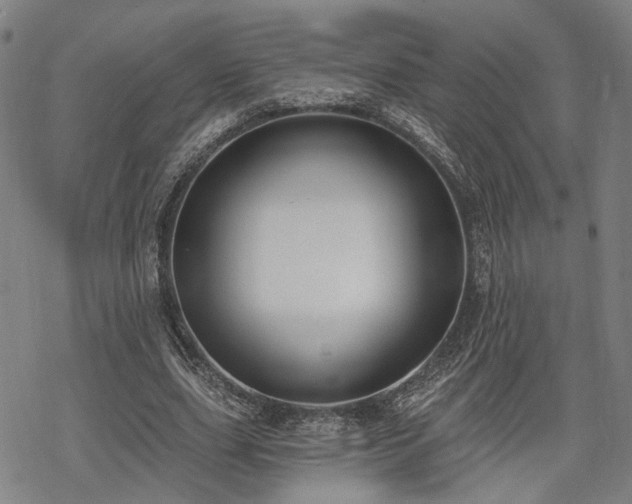 X0000069380631200605121146