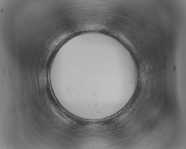 X0000069380632200605121146