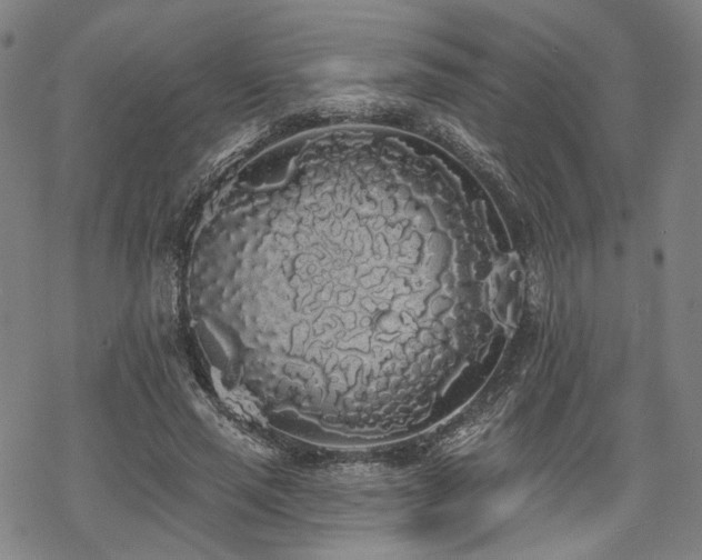 X0000069380637200605121147