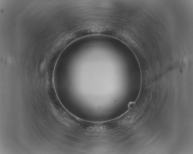 X0000069380639200605121147