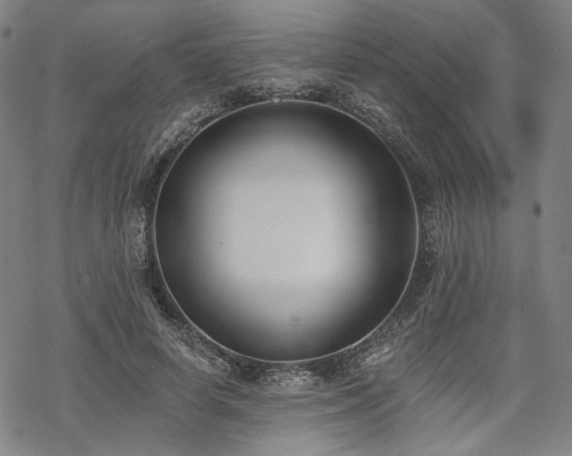 X0000069380642200605121147