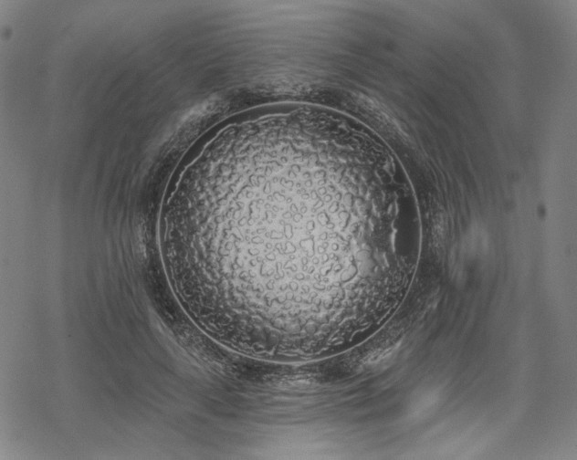 X0000069380643200605121147