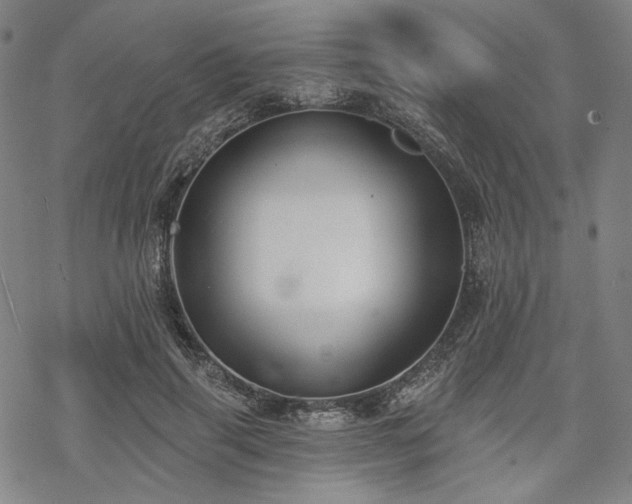 X0000069380645200605121147
