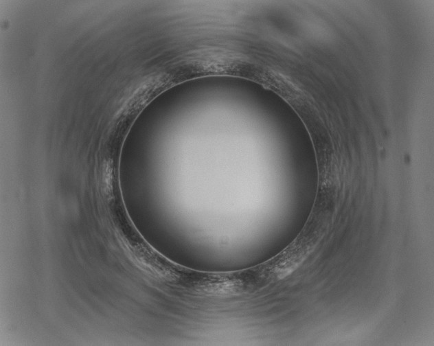 X0000069380646200605121147
