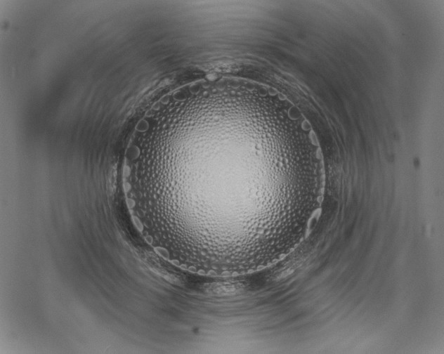 X0000069380652200605121147