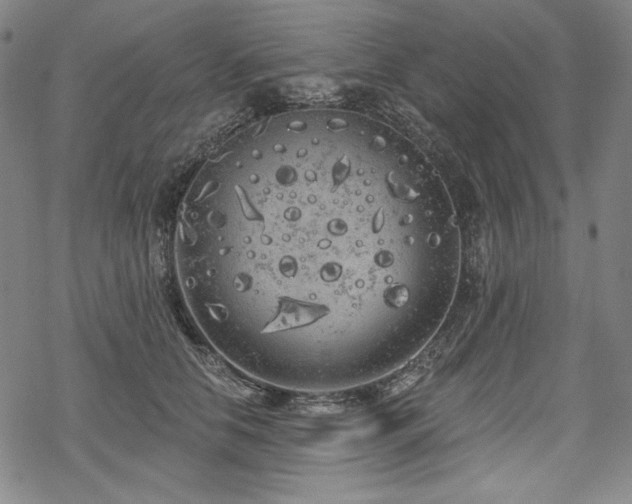 X0000069380658200605121147