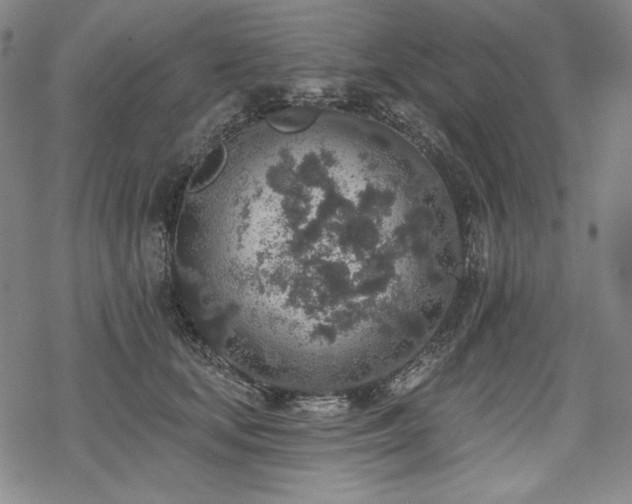 X0000069380659200605121147