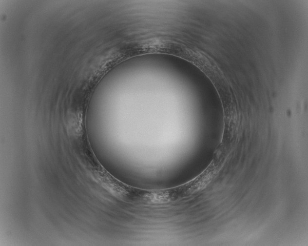 X0000069380660200605121147
