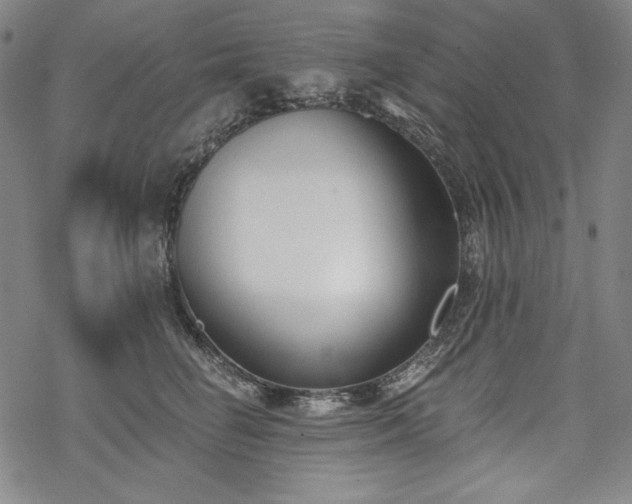 X0000069380662200605121147