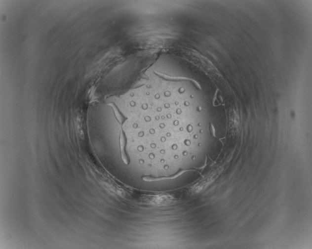 X0000069380663200605121147