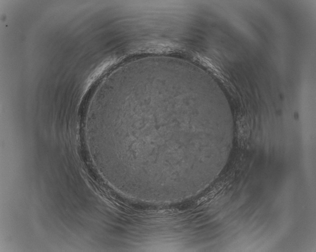 X0000069380679200605121146