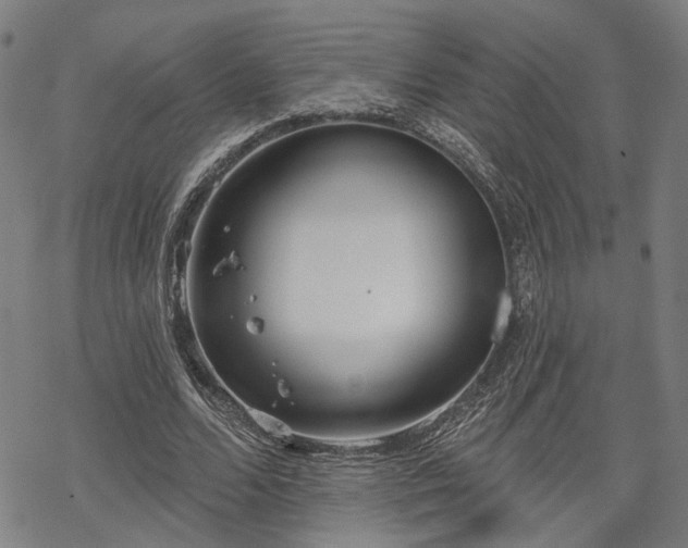 X0000069380680200605121146