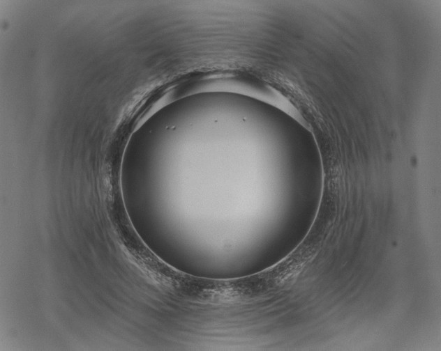 X0000069380688200605121146