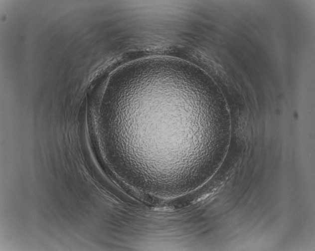 X0000069380689200605121146