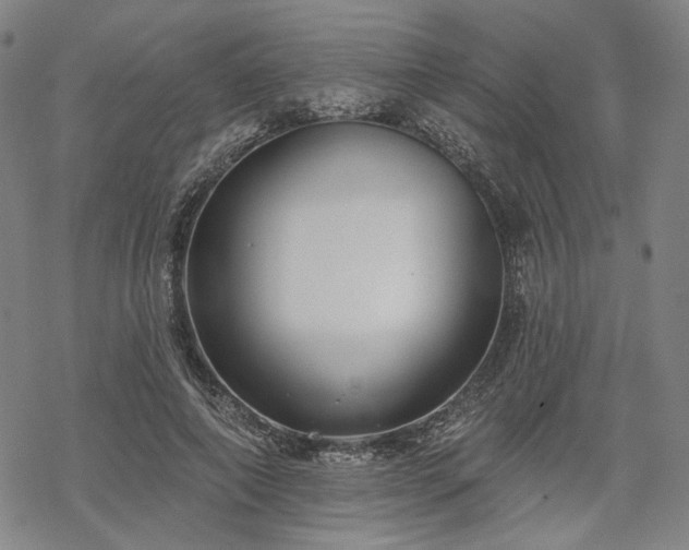 X0000069380690200605121146