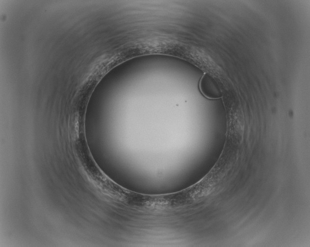 X0000069380694200605121146