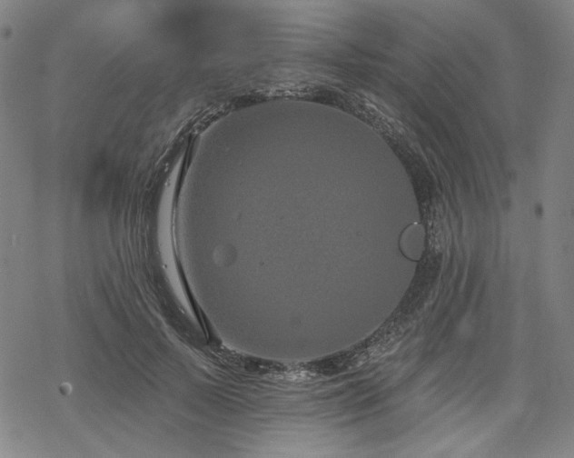 X0000069380695200605121146